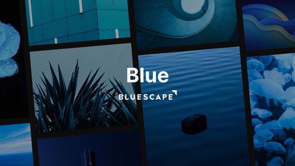 Unsplash × Bluescape